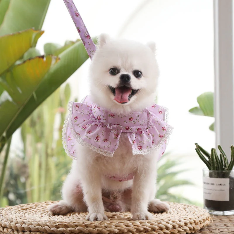 Floral Lace Dog Harness With Leash - immagine 4