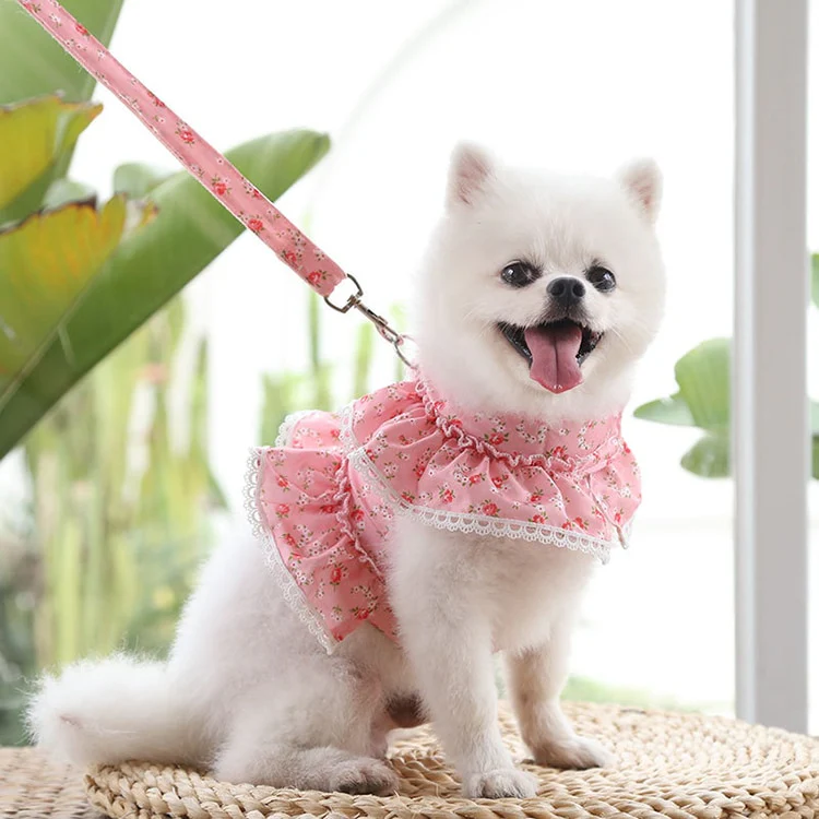 Floral Lace Dog Harness With Leash - immagine 3