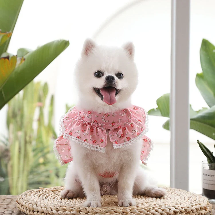 Floral Lace Dog Harness With Leash - immagine 9