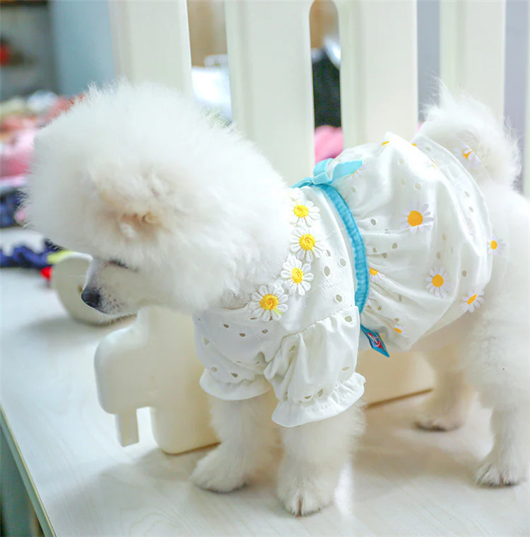 Bowknot Lace Dresses For Dog Cat - immagine 8