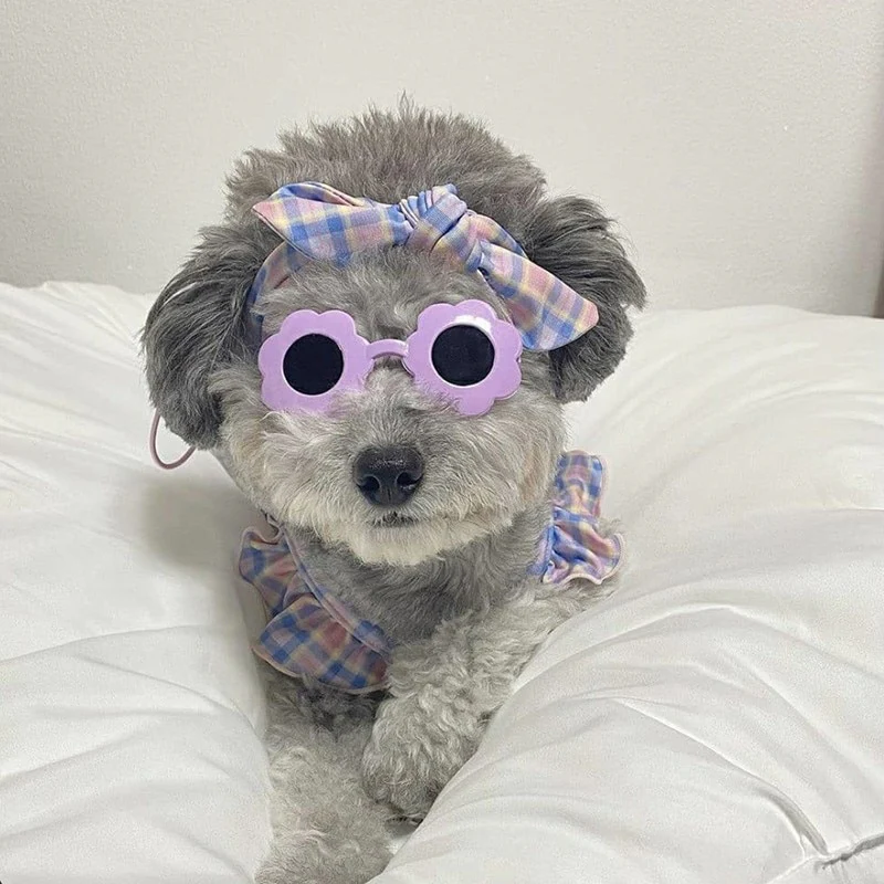 Flower&Heart Pattern Cat Dog Sunglasses - immagine 6