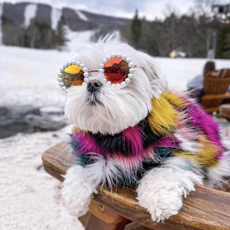 Artificial Pearl Dog Cat Sunglasses - immagine 8