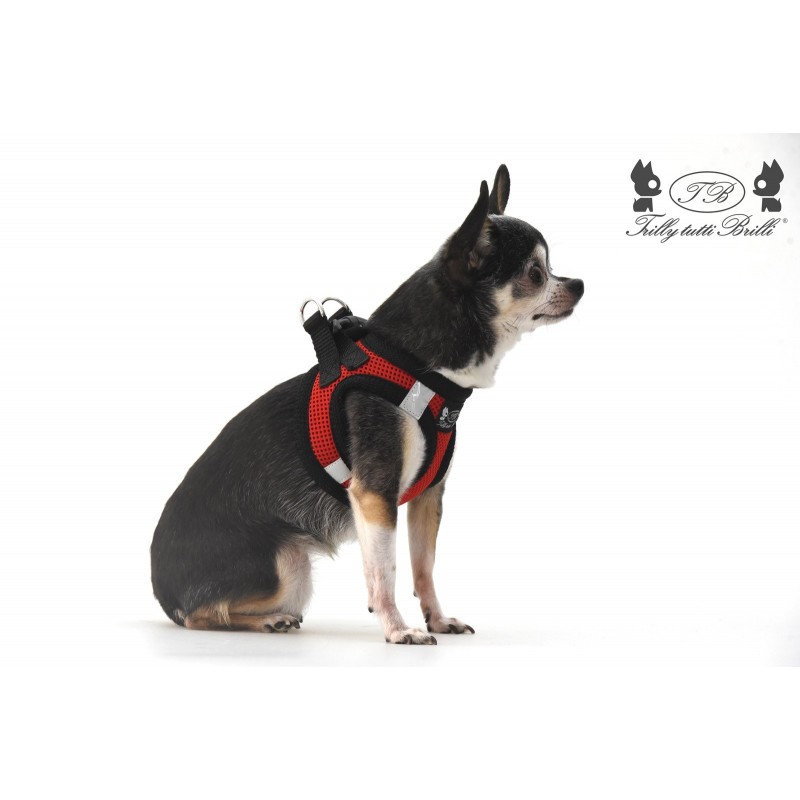 Red Air Mesh Harness - immagine 4