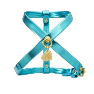PLAIN HARNESS TURQUOISE ECOLEATHER/GOLD