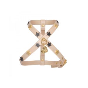 STARS HARNESS COOKIE