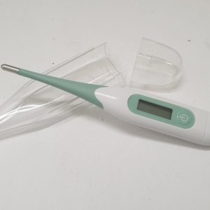 TERMOMETRO ELETTRONICO PUNTA FLESSIBILE