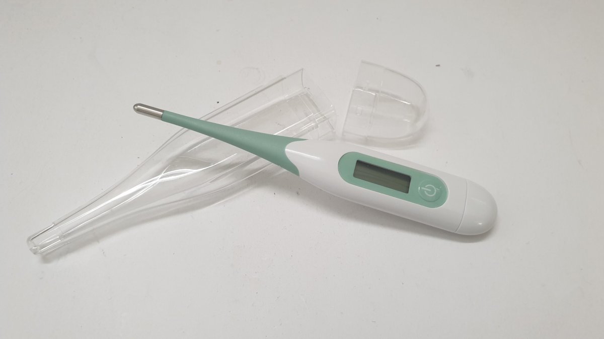 TERMOMETRO ELETTRONICO PUNTA FLESSIBILE - immagine 2