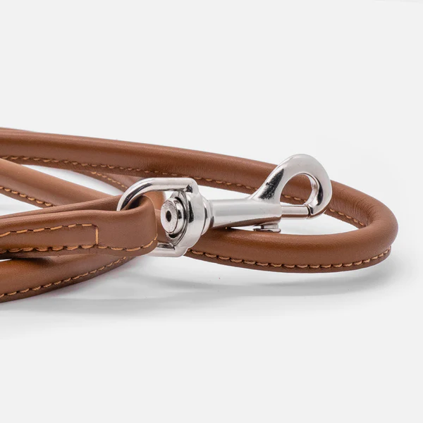 Guinzaglio Tubolare Coloniale - immagine 4