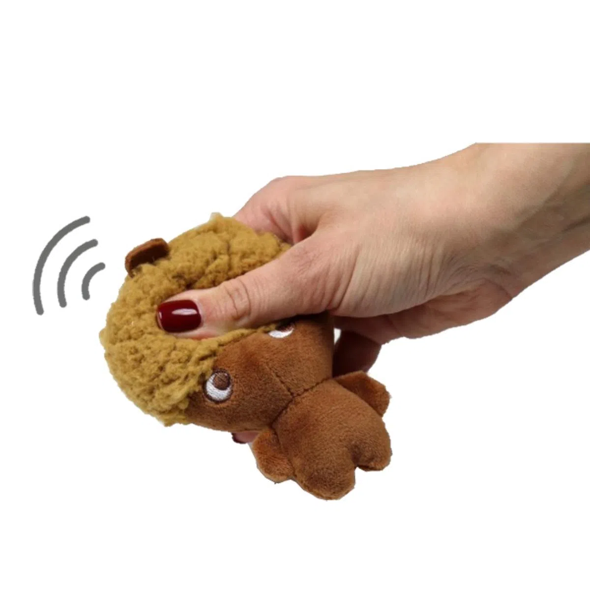 AromaStories – Guscetto - immagine 4