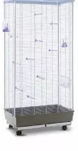 FOP | VOLIERA FABIENNE