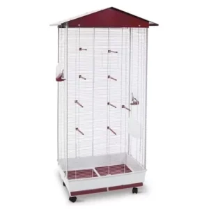 FOP | VOLIERA VALERIA